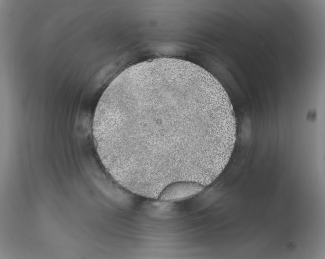 X0000110760478200907131214