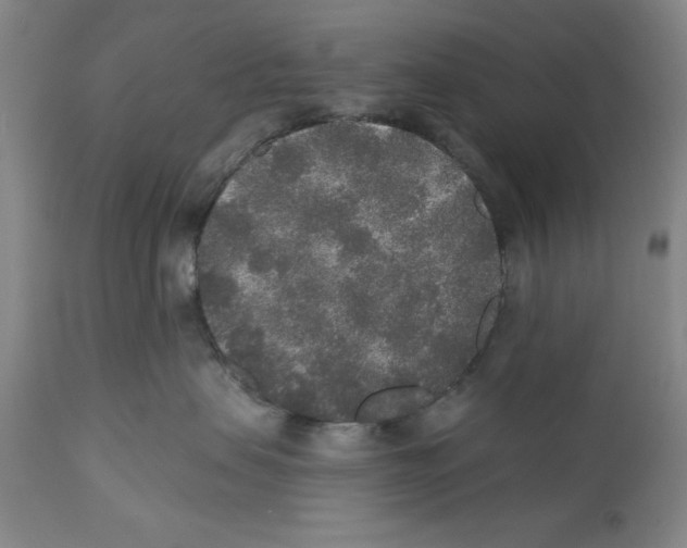 X0000110760479200907131214