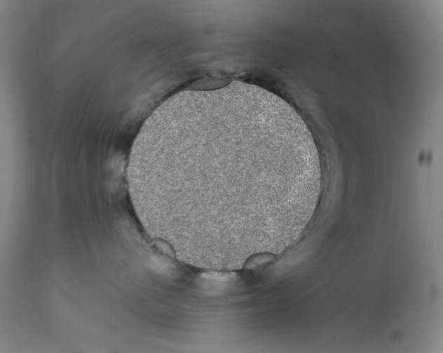 X0000110760480200907131214