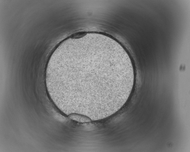 X0000110760481200907131214
