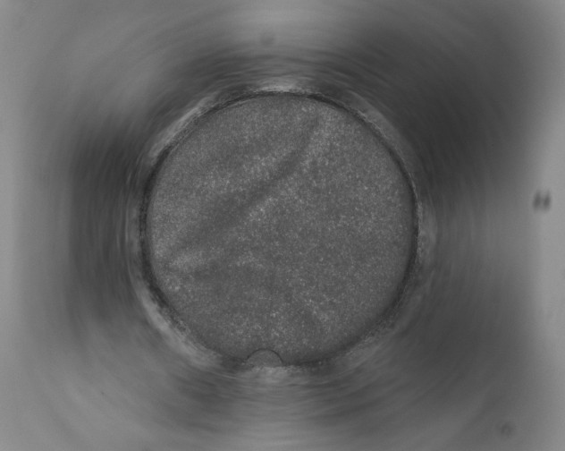 X0000110760482200907131214