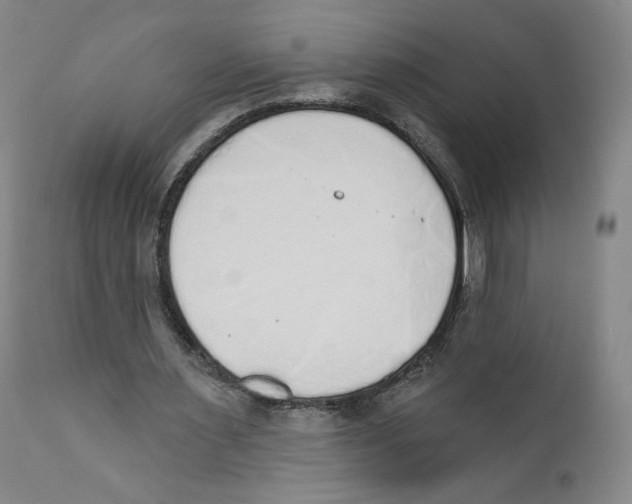 X0000110760483200907131214