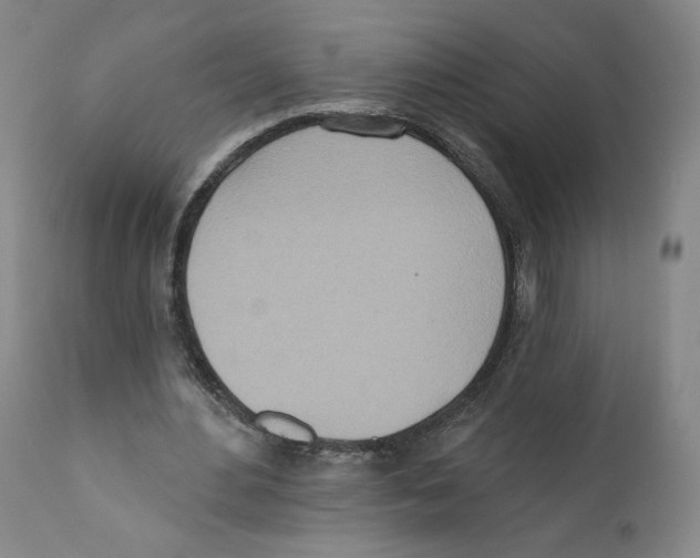 X0000110760484200907131214