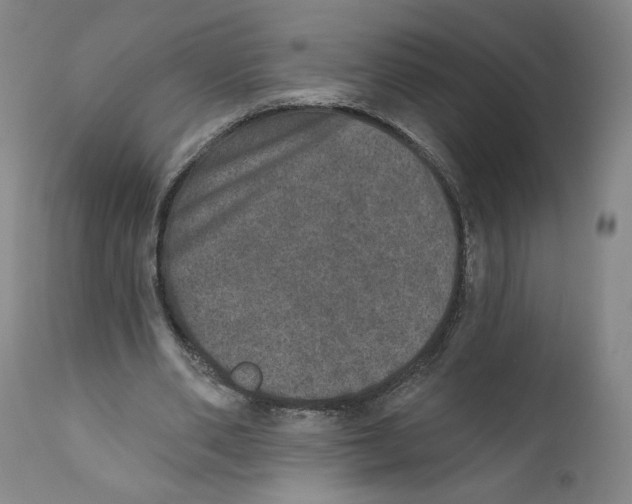 X0000110760486200907131214