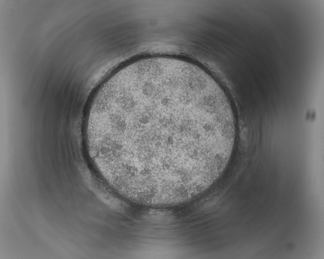 X0000110760487200907131213