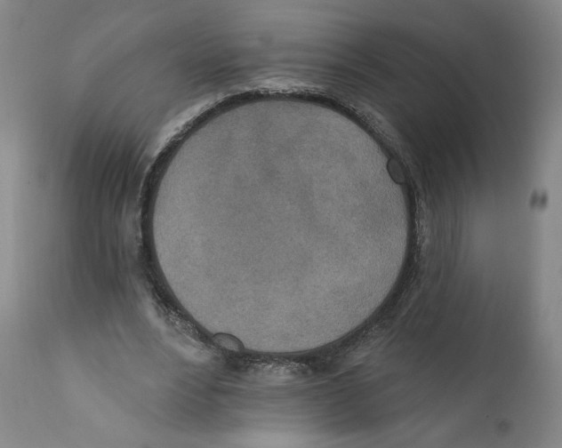 X0000110760488200907131213