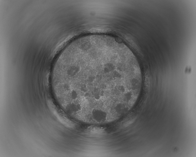 X0000110760491200907131213