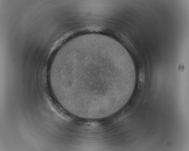 X0000110760492200907131213