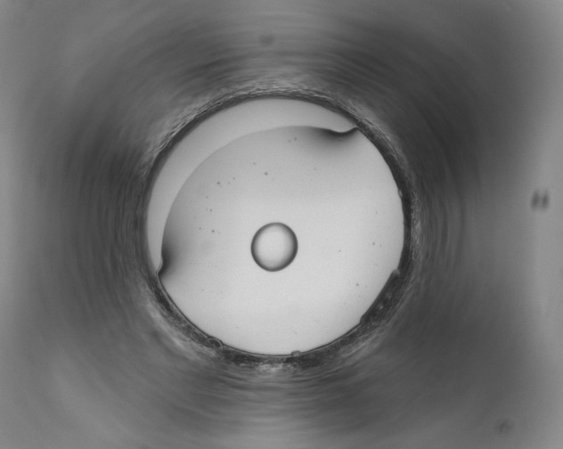 X0000110760493200907131213