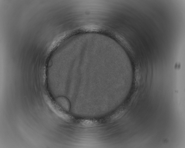 X0000110760494200907131213