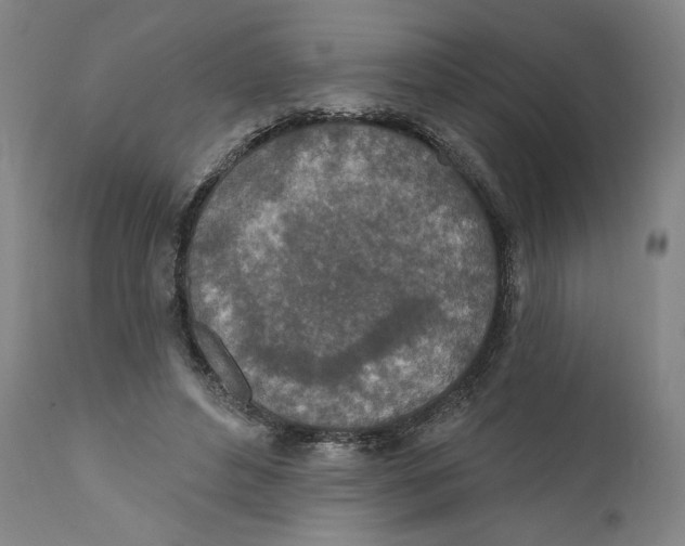 X0000110760496200907131213