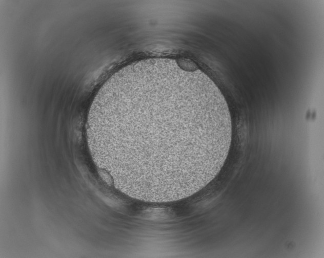 X0000110760499200907131213