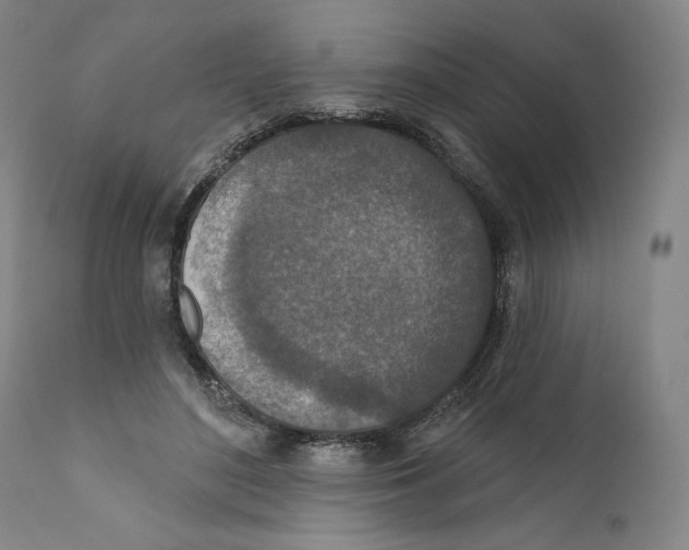 X0000110760500200907131213