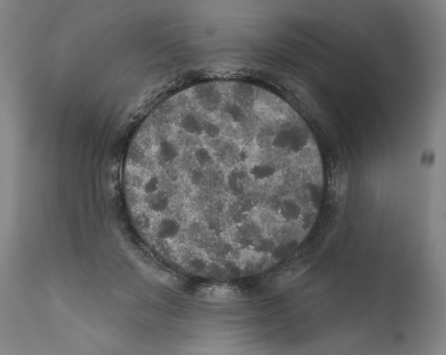 X0000110760503200907131213