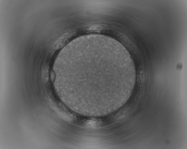 X0000110760504200907131213