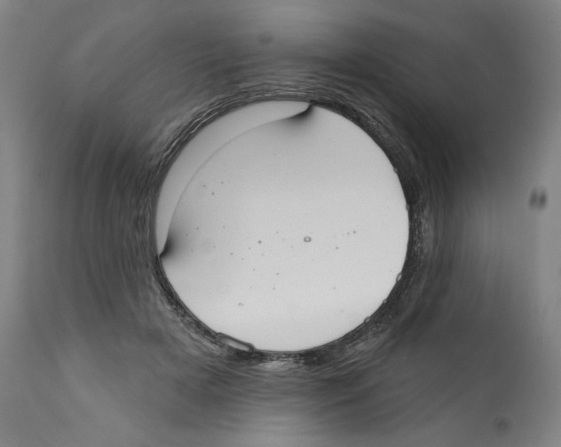 X0000110760505200907131213