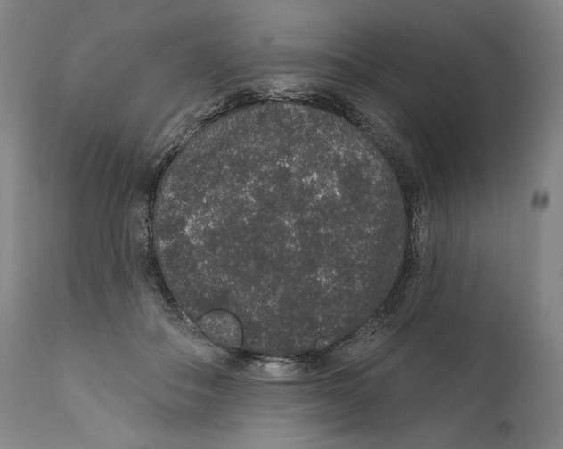 X0000110760506200907131213