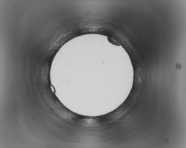 X0000110760509200907131213