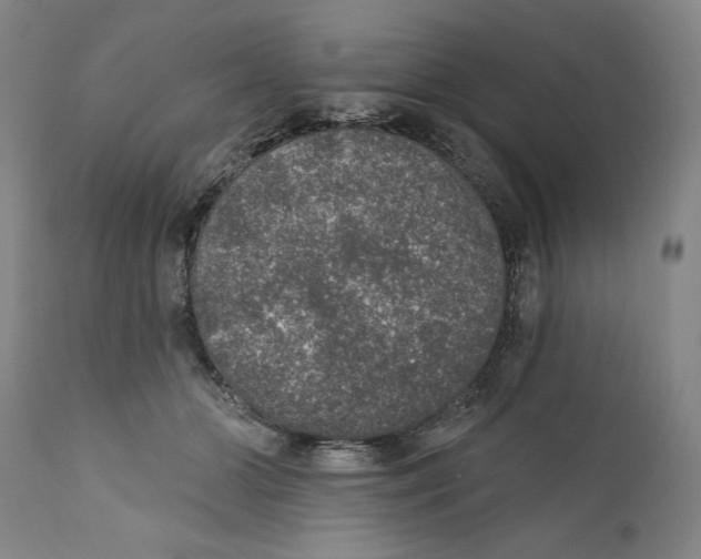 X0000110760510200907131213