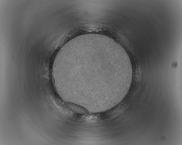 X0000110760512200907131213