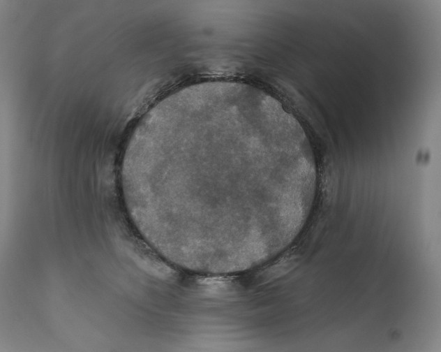 X0000110760516200907131213