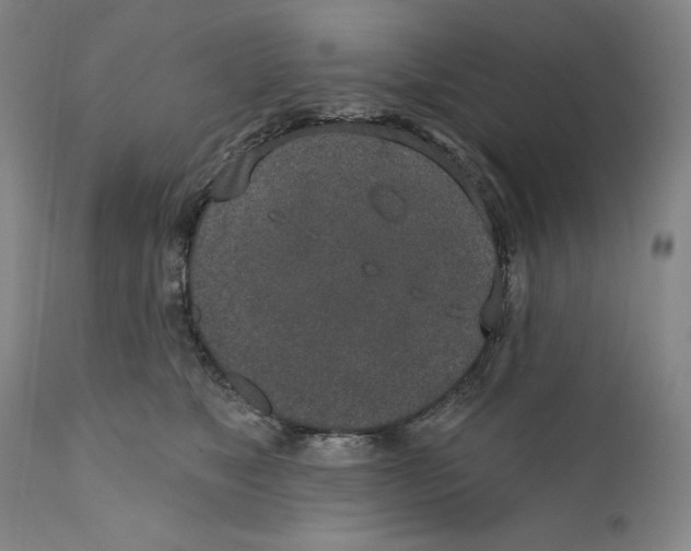 X0000110760517200907131213