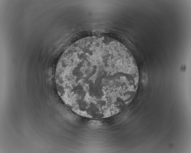 X0000110760519200907131213