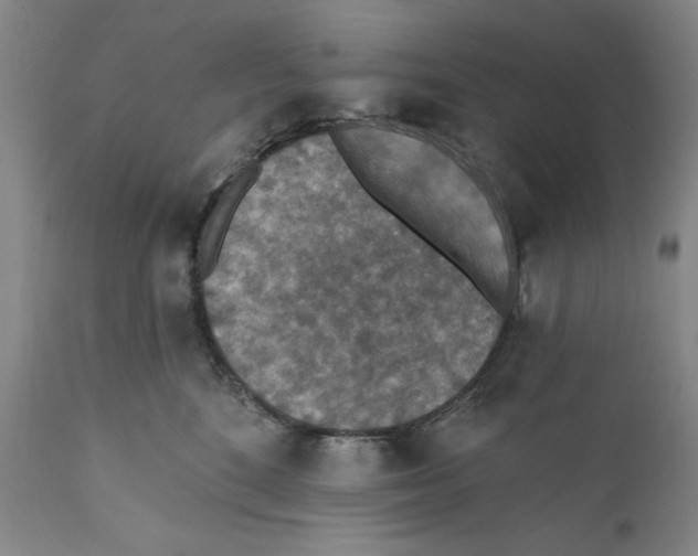 X0000110760520200907131213