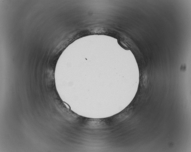 X0000110760521200907131213