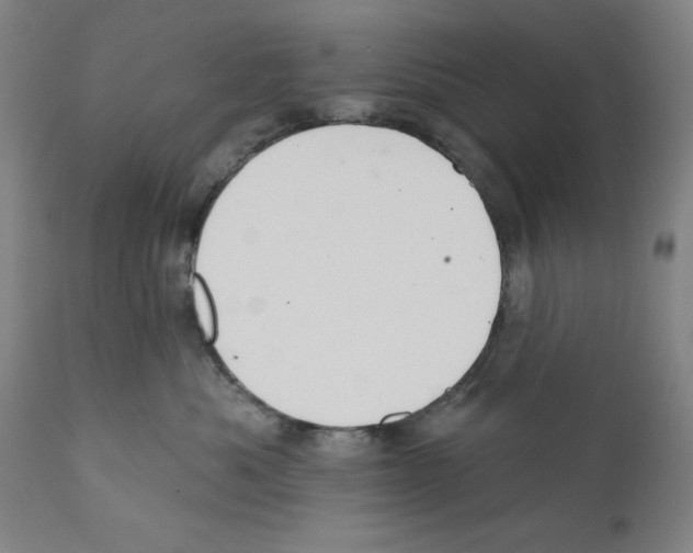 X0000110760525200907131213