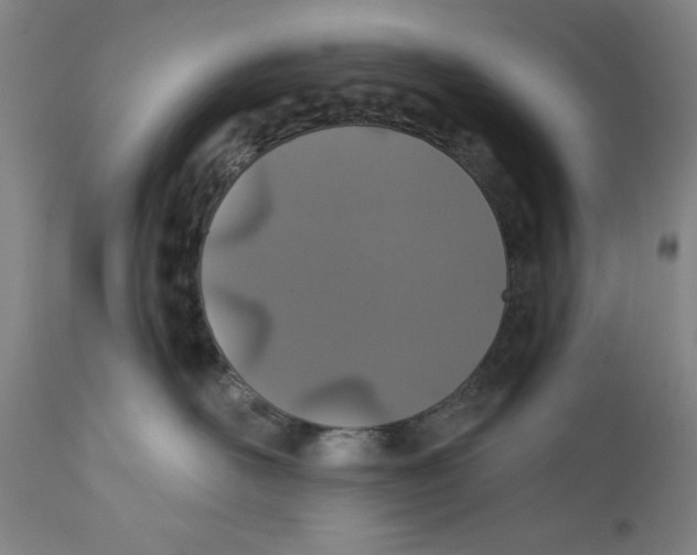 X0000110760526200907131213