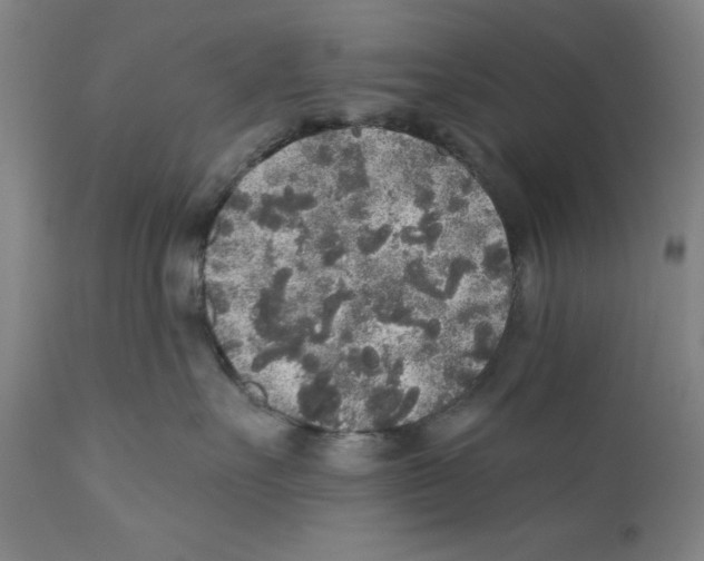 X0000110760527200907131213