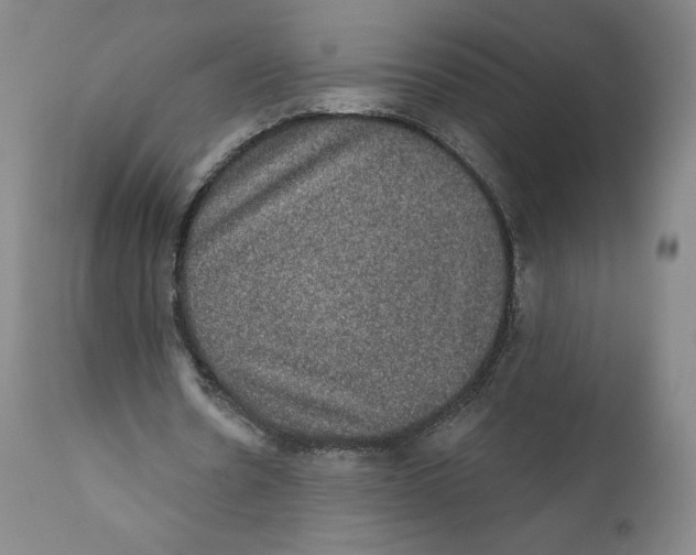 X0000110760530200907131212