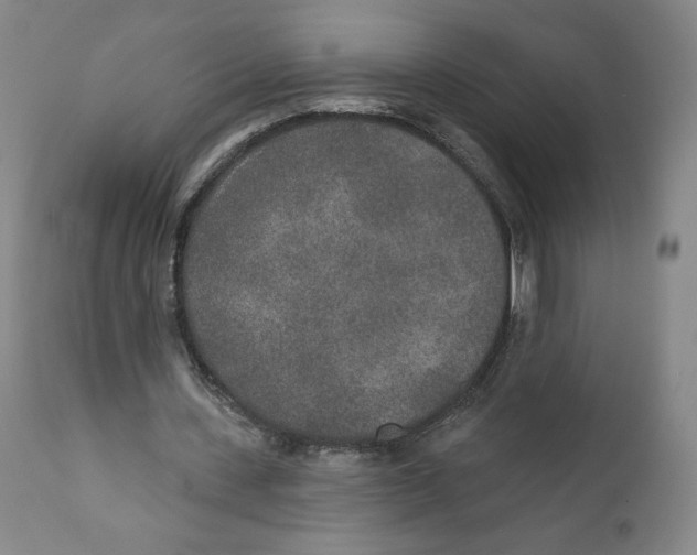 X0000110760531200907131212