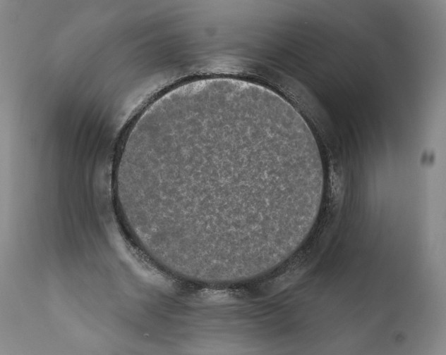 X0000110760534200907131212