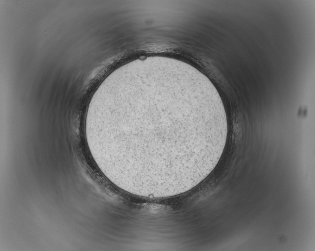 X0000110760539200907131212