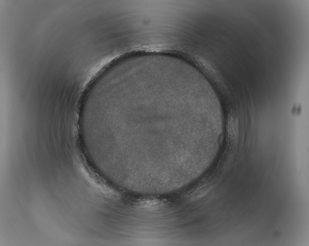 X0000110760540200907131212