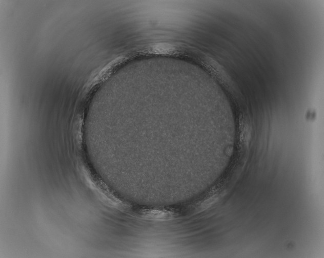 X0000110760542200907131212