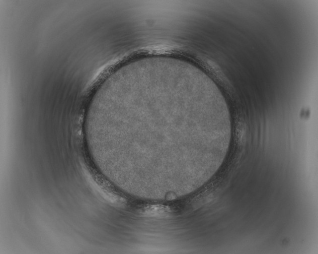 X0000110760543200907131212