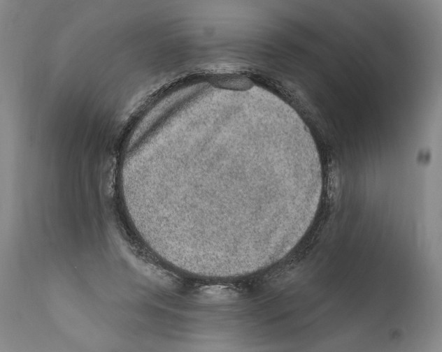 X0000110760544200907131212