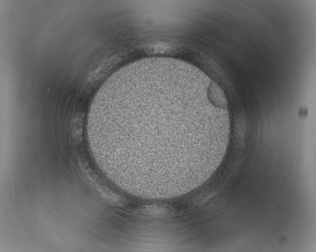 X0000110760545200907131212