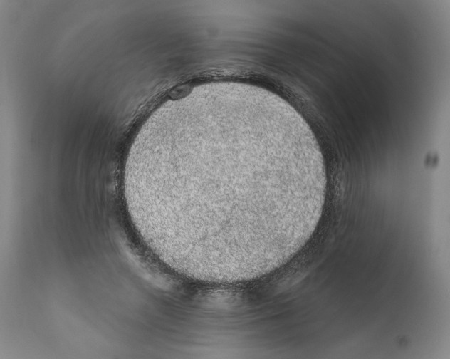 X0000110760546200907131212