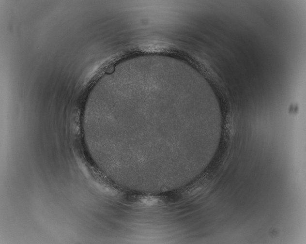 X0000110760547200907131213