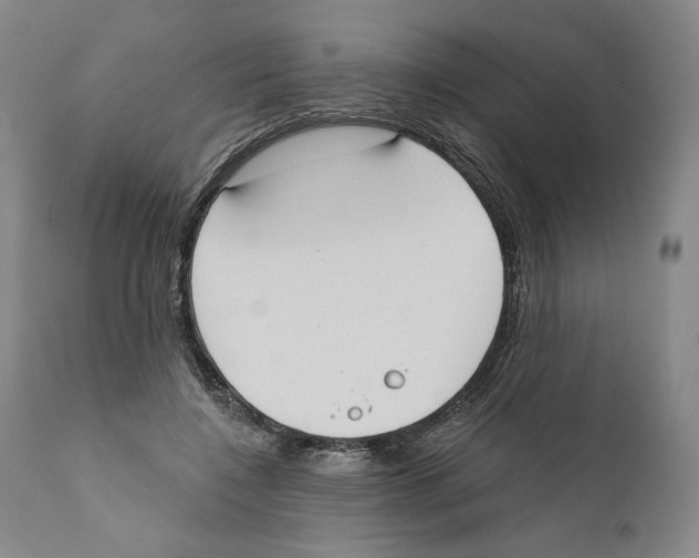 X0000110760548200907131213