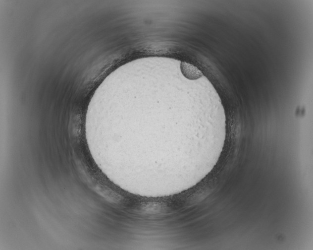 X0000110760549200907131213