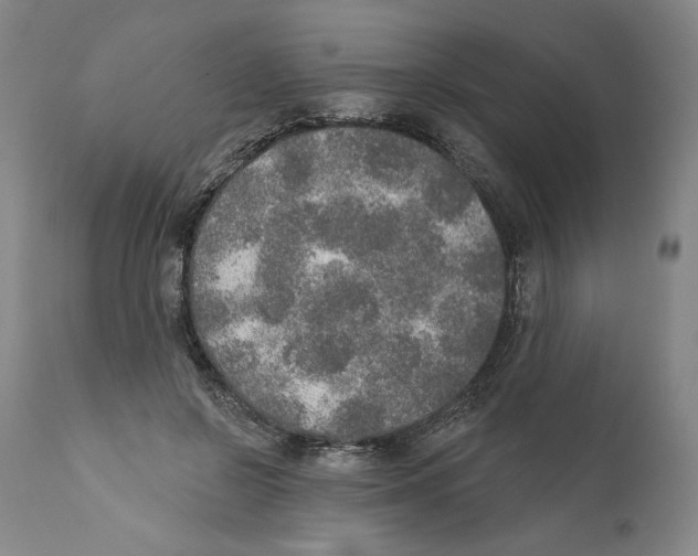 X0000110760550200907131213