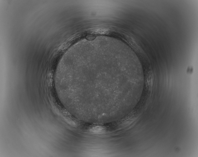 X0000110760551200907131213