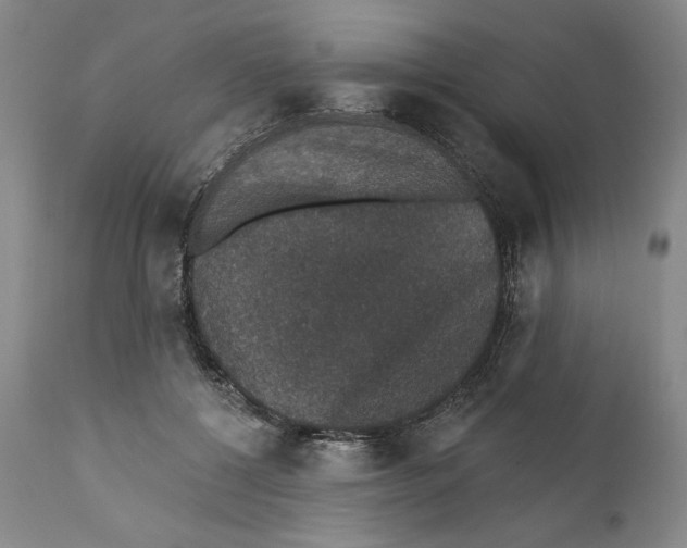 X0000110760552200907131213