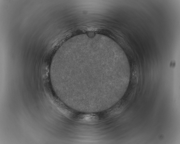 X0000110760555200907131213