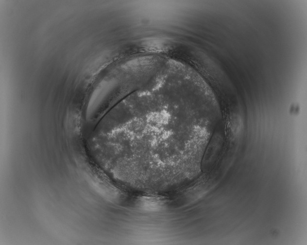 X0000110760556200907131213